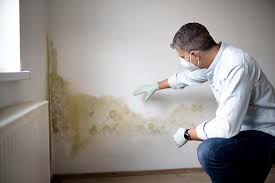 Best Asbestos and Lead Testing During Mold Inspection in Oak Park, CA